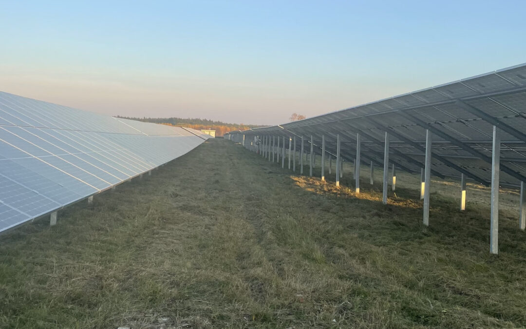 koszenie farm fotowoltaicznych