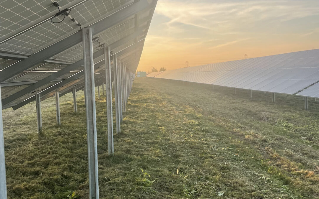 Farmy fotowoltaiczne – czym są i jak działają?