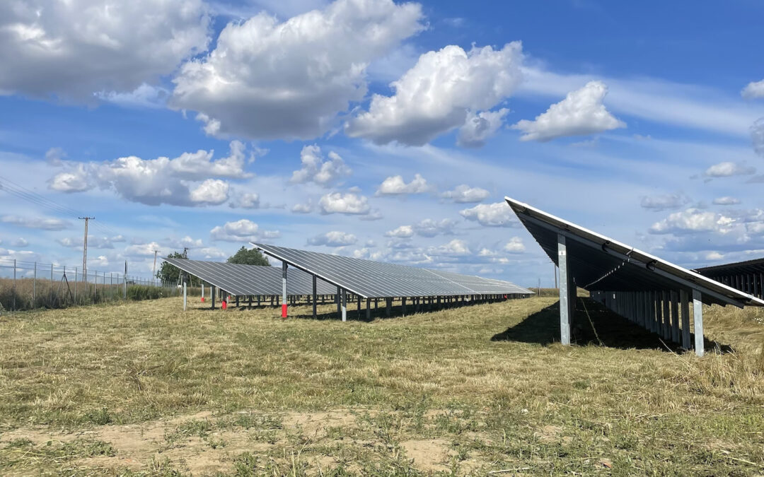 Koszenie farm fotowoltaicznych – kiedy i dlaczego jest to ważne?