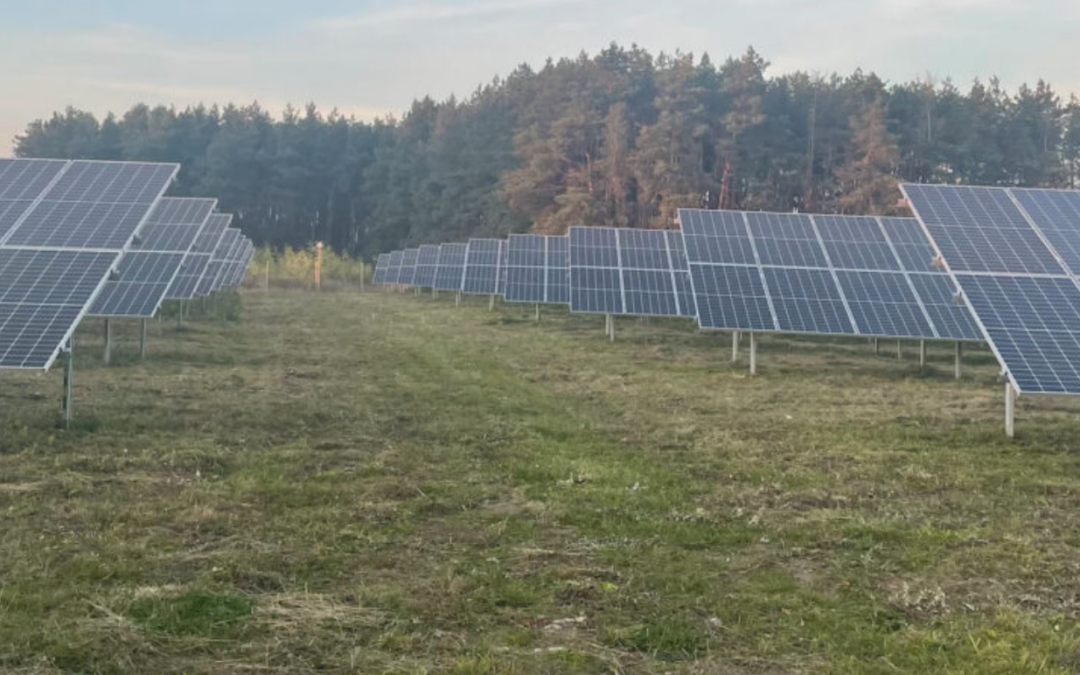 koszenie farm fotowoltaicznych